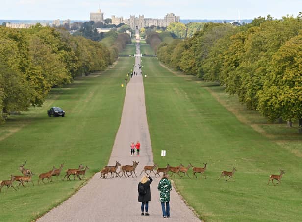 King Charles III is making some major changes to make Windsor Castle more environmentally friendly.