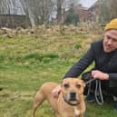 Will Young at Manchester and Cheshire Dogs Home