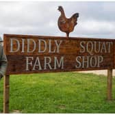 Jeremy Clarkson has won his battle with West Oxfordshire District council as permission to provide more parking at his Diddly Squat farm has been granted. 