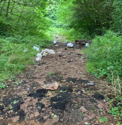 Fly-tipping in Timperley [image by Wayne Starkey]