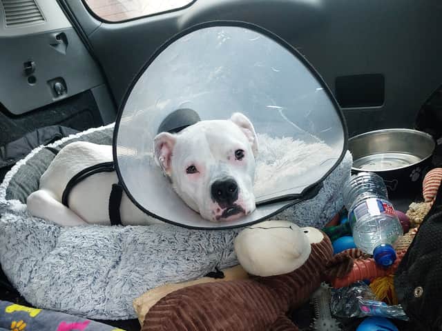 Martin has had to have a number of operations after a dreadful start to life left him with awful limb deformities
