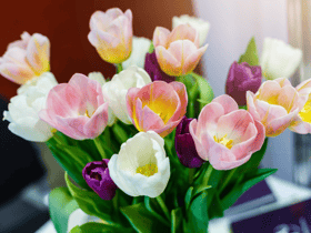 Mother’s Day 2023 - Morrisons best offers