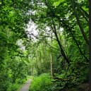  Broadhurst Clough in Moston is the 10th site to be named a local nature reserve.  Credit MCC