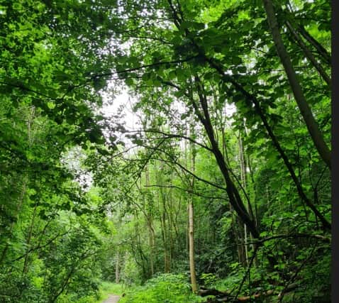  Broadhurst Clough in Moston is the 10th site to be named a local nature reserve.  Credit MCC