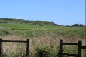 The site off Matley Lane proposed for 91 homes. Photo: Metacre