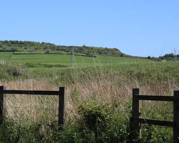 The site off Matley Lane proposed for 91 homes. Photo: Metacre