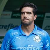 Palmeiras boss Abel Ferreira 