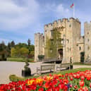Hever Castle and Gardens (photo: Hever Castle and Gardens)