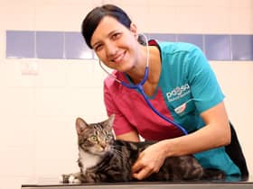 Ensuring your pet gets the best care PDSA (photo:  Alex Cantrill-Jones/ACJ Media)