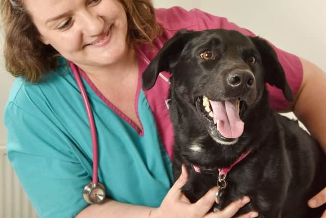 Milo, a cross breed aged five, ate slug pellets from a garden pot but was saved from the brink of death by PDSA Vets