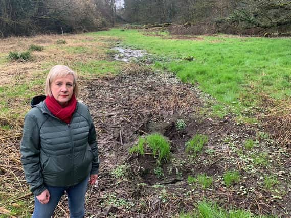 Coun Lisa Smart at the land near Otterspool Road, Romiley, Stockport. Credit: LDRS