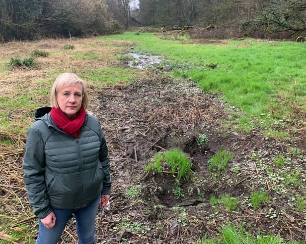 Coun Lisa Smart at the land near Otterspool Road, Romiley, Stockport. Credit: LDRS