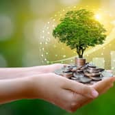 Greening your money (photo: Shutterstock)