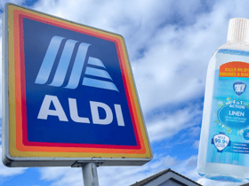 TikTok star shares 5 spring cleaning hacks using 89p Aldi product