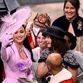 Katy Perry took pictures with fans at the King’s coronation