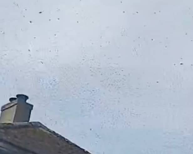 ‘Army’ of bees force English Heritage castle closure as ‘terrified’ locals caught in massive swarm 