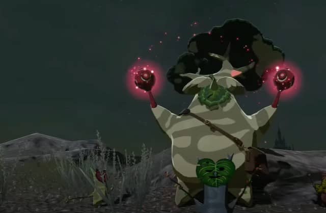 Tears of the Kingdom players have found creative ways to tourment Koroks.