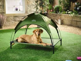 Aldi has launched a new affordable pet range to help keep pets warm during the warmer months 