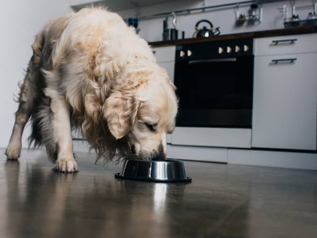 Dog owners are being warned that raw dog foods could be poisonous