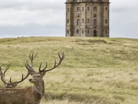 The Cage at Lyme, Stockport - National Trust Images/Arnhel de Serra