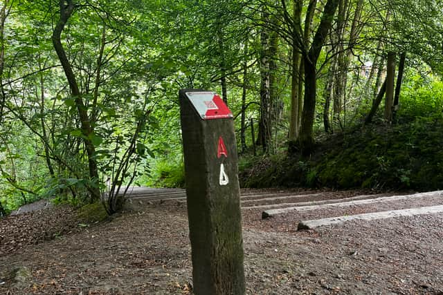 Orienteering at Daisy Nook. Credit: Manchester World