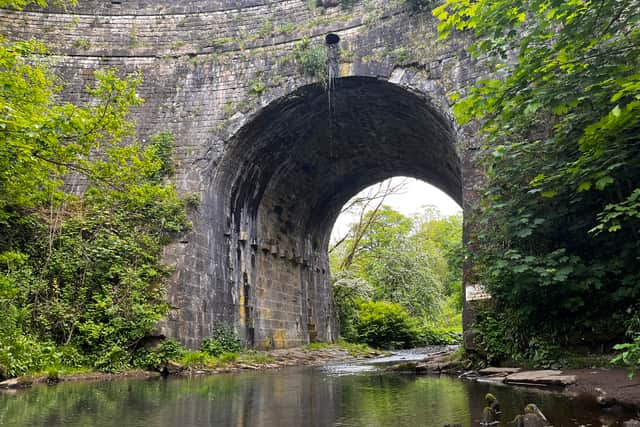 Daisy Nook. Credit: Manchester World