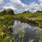 Daisy Nook country park. Credit: Manchester World