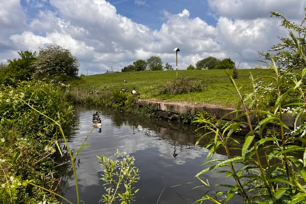 Daisy Nook country park. Credit: Manchester World