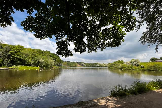 Crime Lake, Daisy Nook. Credit: Manchester World