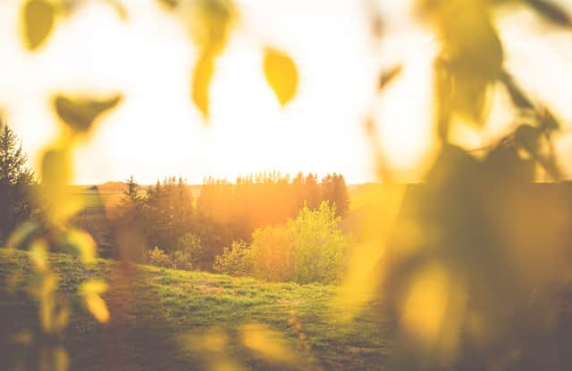 Summer walks near Manchester