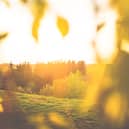 Summer walks near Manchester