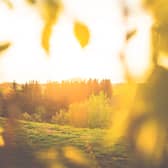 Summer walks near Manchester