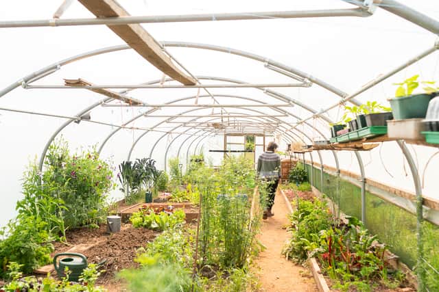 They grow their own food using a communal polytunnel, with all the harvest shared between members.