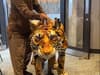 I met the life of Pi tiger puppet and it was so realistic it made my heart pound.
