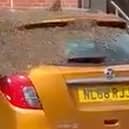  A three-day-old car was swarmed by thousands of bees, leaving its owner stunned. (SWNS)