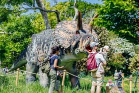 Dinosaurs in the Park is coming to Heaton Park this summer. Photo: Award Winning Photographer James Bridle