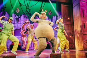 Madagascar the musical is coming to Manchester in February. Credit: Mark Dawson Photography