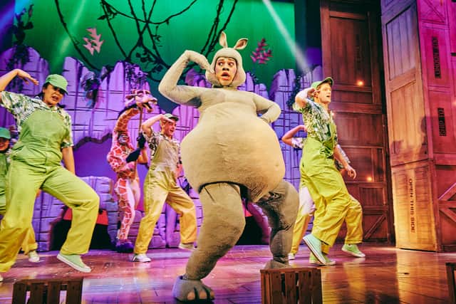 Madagascar the musical is coming to Manchester in February. Credit: Mark Dawson Photography
