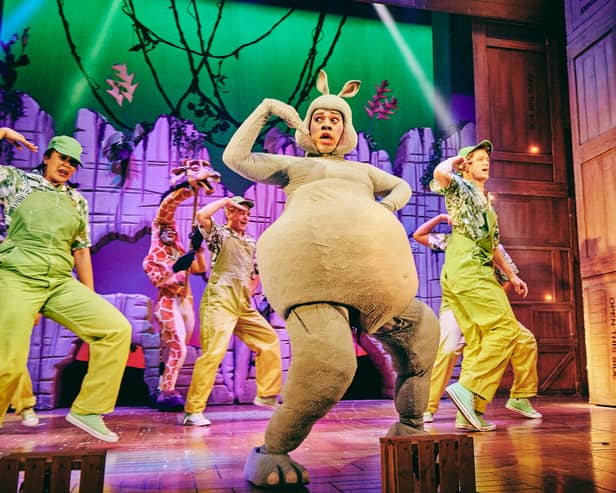 Madagascar the musical is coming to Manchester in February. Credit: Mark Dawson Photography