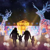  Dunham Massey announces brand new Christmas lights with tickets going on sale 