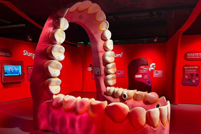 Operation Ouch exhibition at Manchester’s Museum of Science and Industry.