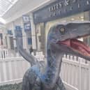 Dinosaurs at Mill Gate shopping centre, Bury. 