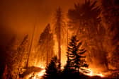 Gran Canaria is the latest holiday destination to be hit with wildfires