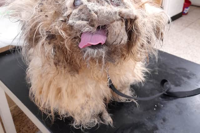 Morris shortly after being found