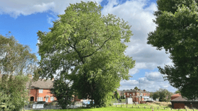 The Manchester Poplar in Gorton Credit: Alex Shuttleworth / WTML