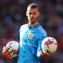 Newcastle have been linked with a move for David de Gea following Nick Pope's injury.