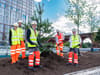 First trees planted in Stockport’s roof-top park as next milestone of borough’s £1 billion development reached