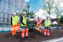 Cllr Mark Hunter, leader of Stockport Council, plants the first tree  