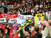 10 passionate pictures as Man Utd fans stage sit in protest against the Glazers