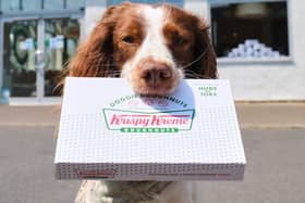 Krispy Kreme have launched doggy doughnuts 